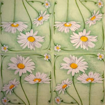 038 Margeriten - 3 lagig - Ambiente